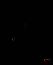 《死或生6》官方版