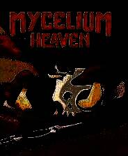 《菌丝天堂》免安装中文版