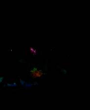 《秘境战盟》中文版