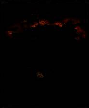 《突袭：二战》免安装中文版