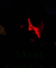 《斯库夫模拟器》 v20250514升级档+未加密补丁[TENOKE]