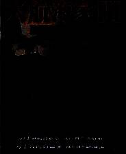 《大航海家3》免安装中文版