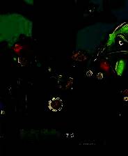 《植物大战僵尸火影版》电脑版