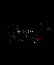 《比比特：数字生命》游戏库