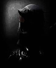 《Dolls Nest》v1.0 十七项修改器[3DM]