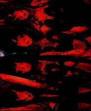 《晨衣小店》免安装下载