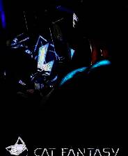 《猫之城》游戏库