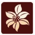 300百合会 官网版 V1.2.5