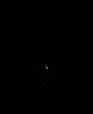 《Recall：Empty wishes》官方版