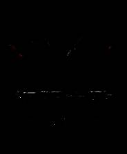 《征服之歌》 v1.5.6升级档+未加密补丁[RUNE]