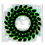 生生课堂v4.1.60.29587