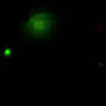 《绿豆刷机神器》最新版