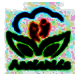 安妮花课件演示系统 v3.7