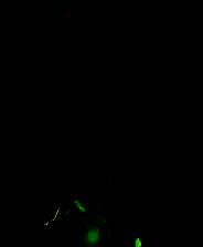 《幽影之线》免安装汉化版