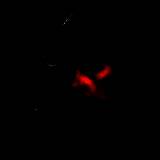 子弹任务 官网版 V1.0.1