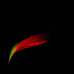 procreate 官网免费下载 V1.7.1