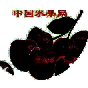 中国水果网 V1.4