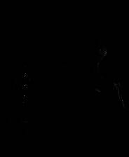 《零 ～濡鸦之巫女～》官方版