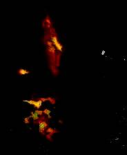 《异形：坠入黑暗》