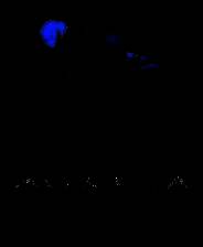 《Gravelord抢先体验版》免安装汉化版