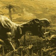 模拟暴龙战斗 安卓手机版 V1.0.3