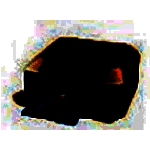 佳能mg7700打印机驱动v1.01