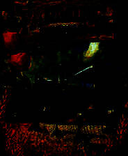 《水晶球：农场世界》简体中文免安装版