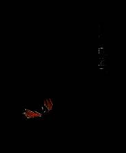 《太阳骑士4：指挥官的回归》 中文免安装版