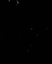 《Slavicus》英文免安装版