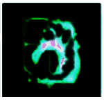 图片批量处理专家v3.0
