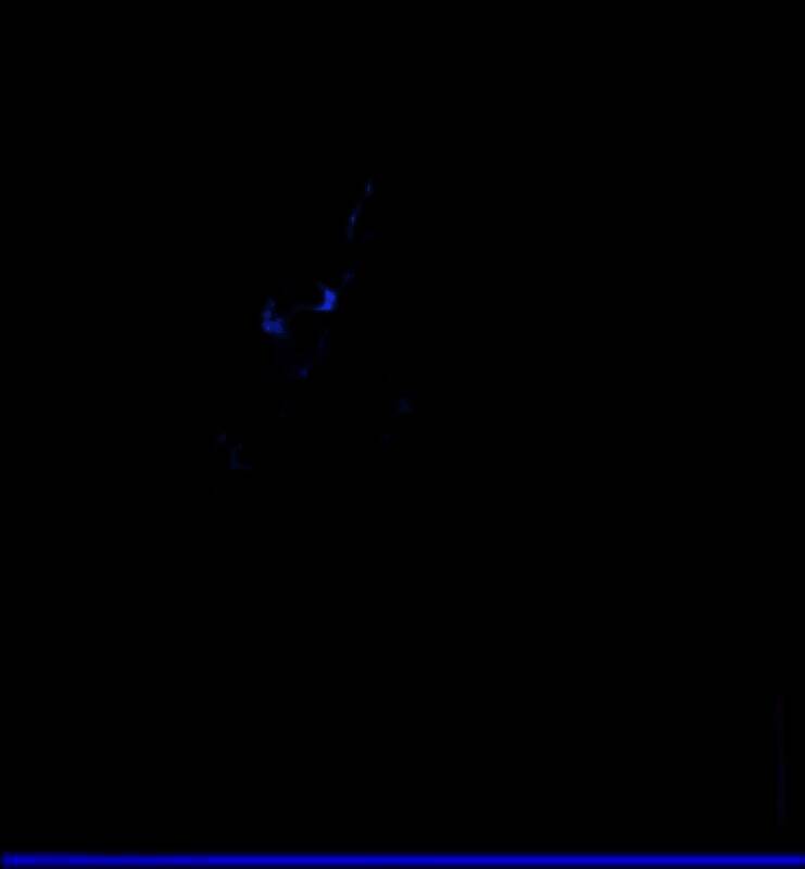 闪光盾弱网 V13.0