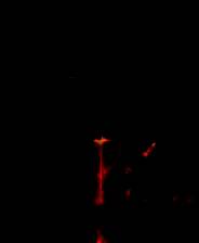 《风暴崛起》v2025.04.21 十七项修改器[3DM]