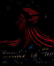 《时间护符：拉罗谢尔的阴影》3DM完整英文硬盘版