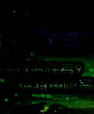 《神秘追踪者：温特角惨案》简体中文免安装版