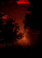 《蝴蝶符号》英文免安装版