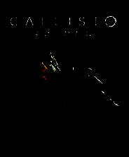 《木卫四协议》Steam正版分流