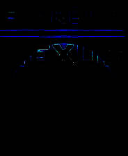 《星际公司：联结》简体中文免安装版