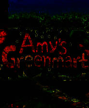 《艾米的绿色集市》英文免安装版