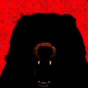 家有大灰熊 V1.1.11