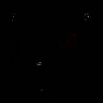 以撒的结合：重生 汉化版 V1.3