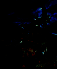 《魔域对抗》3DM简体中文免安装版