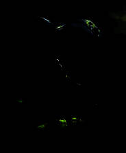 《魔戒：最后之日》不完全汉化硬盘版