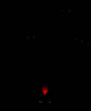 《祖玛的复仇》免安装下载