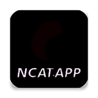 网飞猫 ncatapp官网版 V1.9