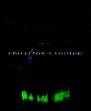 《永恒传说：炉桥阁》英文免安装版