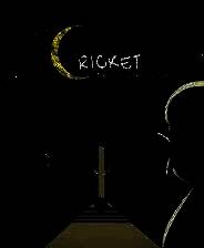 《Cricket: Jae's Really Peculiar Game》Demo试玩版