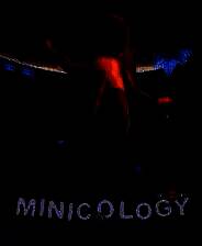 《Minicology》Demo试玩版