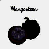 山竹社区 旧版 V3.4.1