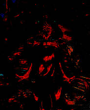 《另一个世界2：预兆之夏》简体中文免安装版