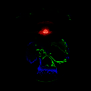 先发制人 手游中文版 V3.0.1